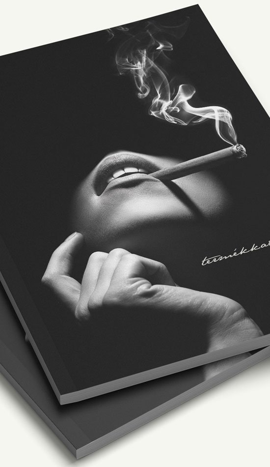 pixelworks magazin tervezes 002.jpg